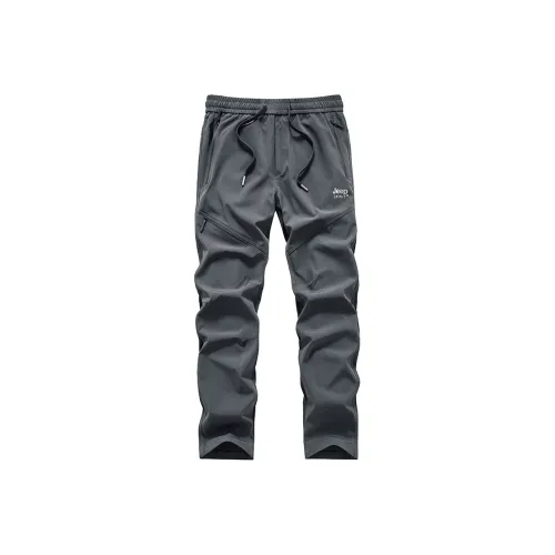 JEEP SPIRIT Мужские Повседневные Брюки