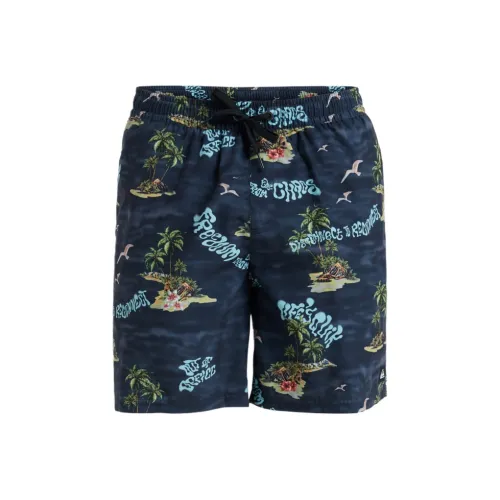 Quiksilver Черный Синий Мужские Плавательные Шорты