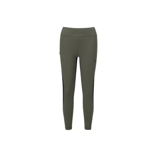 THE NORTH FACE Leggings Женские Темный хаки Зеленый