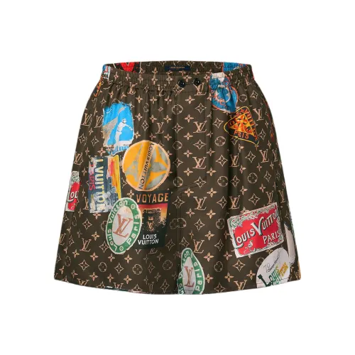 LOUIS VUITTON FW24 Повседневные шорты Женские Многоцветные