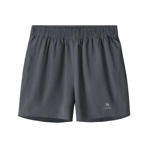 CAMEL Женские повседневные шорты