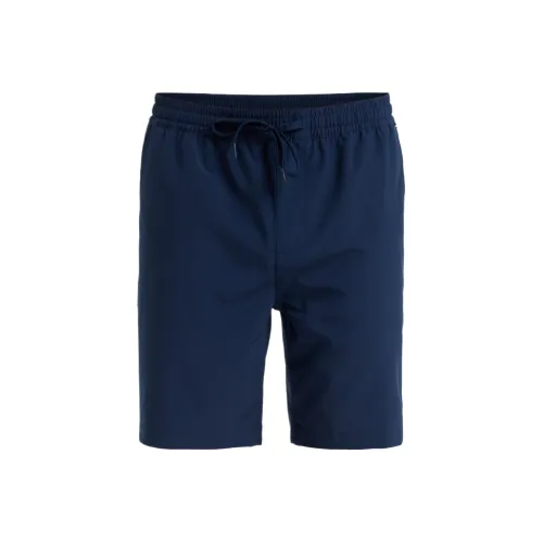 Quiksilver Морские Синий Мужские Пляжные Шорты