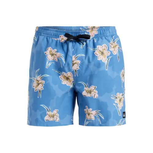 Quiksilver Мужские Плавательные Шорты Синего Цвета