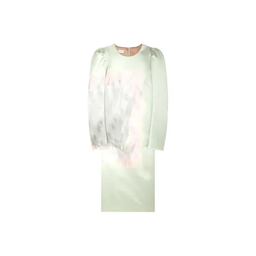 DRIES VAN NOTEN FFW24 Длинное платье с длинными рукавами женское мятно-зеленый