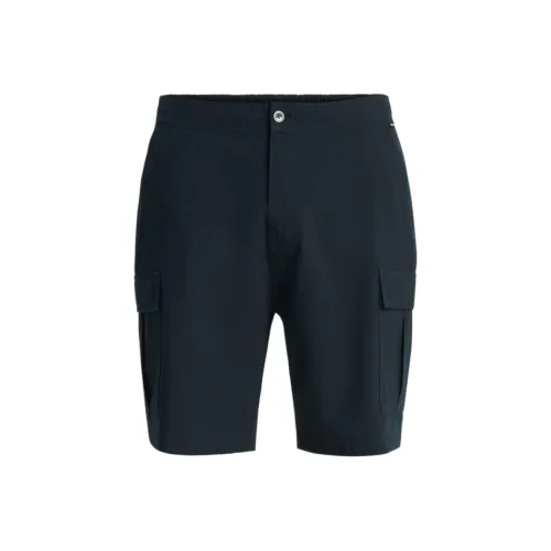 Quiksilver Черные Мужские Повседневные Шорты