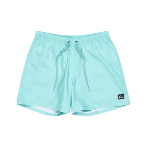 Quiksilver Мужские пляжные шорты Aqua Blue
