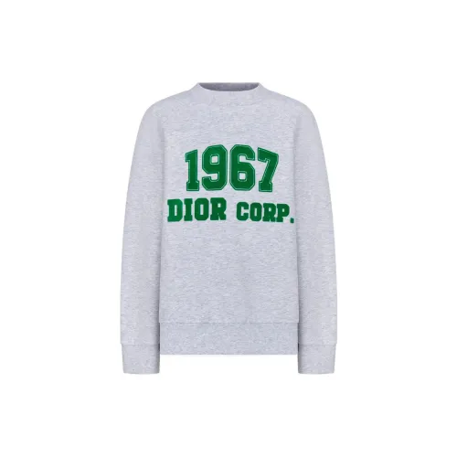 DIOR FW22 Толстовка Серый Детский