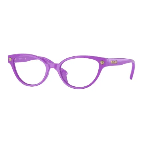 FANSIZHE Пластик Кошачий глаз Оправы для очков Женские Фиолетовый