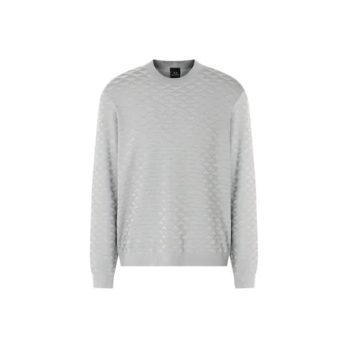 ARMANI EXCHANGEAE SS25 Трикотаж Мужской Серый