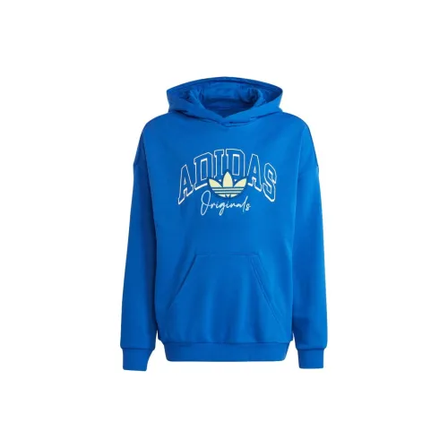 Adidas Синий Kids Свитшоты