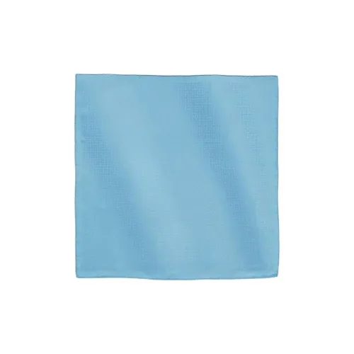 HERMES Faconnee Upside Down Шелковые шарфы Мужской