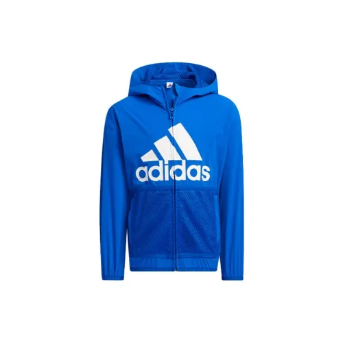 Adidas Королевский синий Kids Куртки
