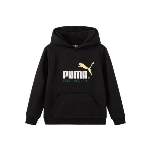 PUMA Свитшот CELEBRATIOhoodie Черный для детей 3-7 лет