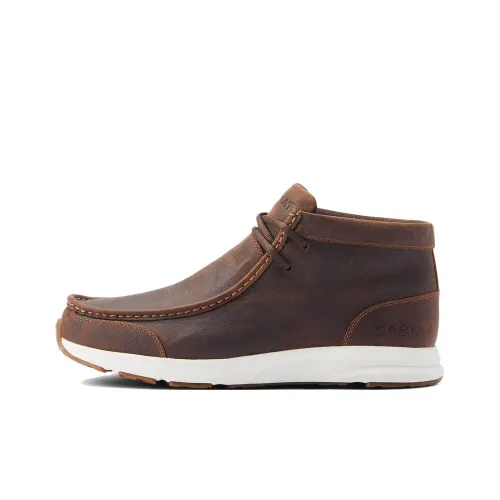 ARIAT Ботильоны Коричневый Мужской