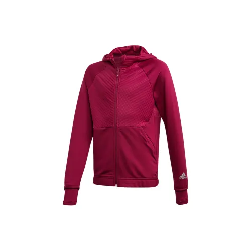 Adidas Фуксия Школьный возраст Свитшоты