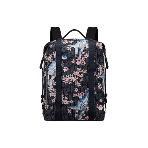 DIOR SORAYAMA Коллаборация Нейлон Телячья кожа Рюкзак Унисекс Синий Многоцветный