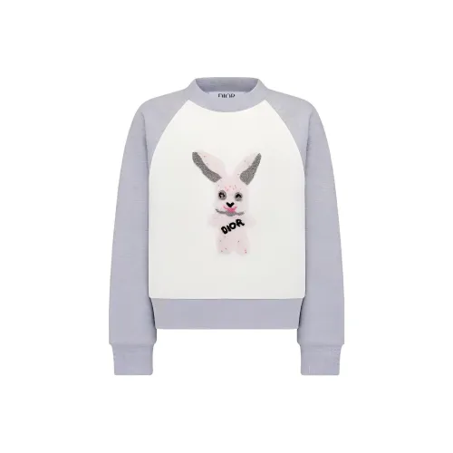 DIOR Толстовка Детская одежда SS23 Женский Серый Малыш