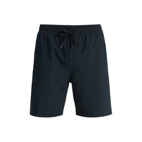 Quiksilver Черные Мужские Пляжные Шорты