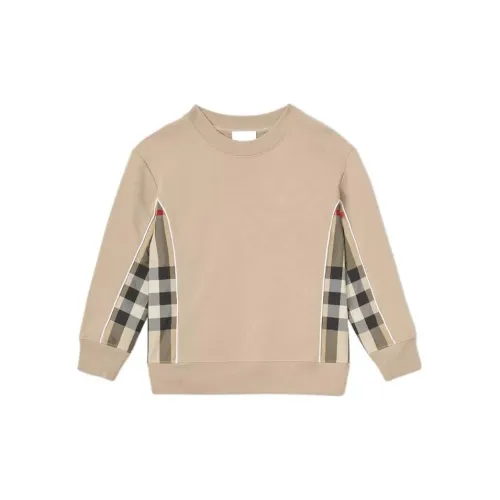 Burberry Коричневый Kids Свитшоты