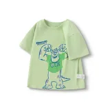 Зелёный Тон 00344