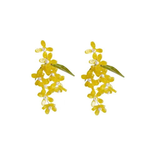 Zoo Jewel Серьги из смолы Женские