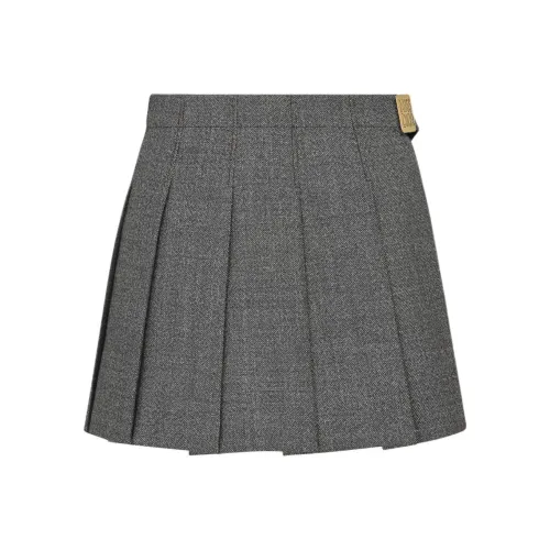 DIOR SS24 Повседневные короткие юбки Женские Серый