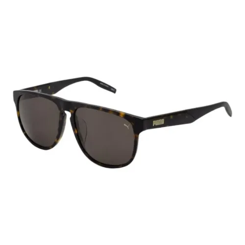 PUMA Plastic Square Sunglasses Men's Tortoiseshell