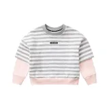 Серо-белые полосы