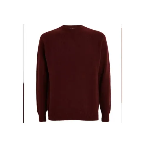 SUNSPEL FW23 Свитер Мужской Коричневый Красный