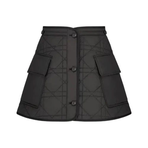 DIOR SS23 Повседневные короткие юбки Женские Черный