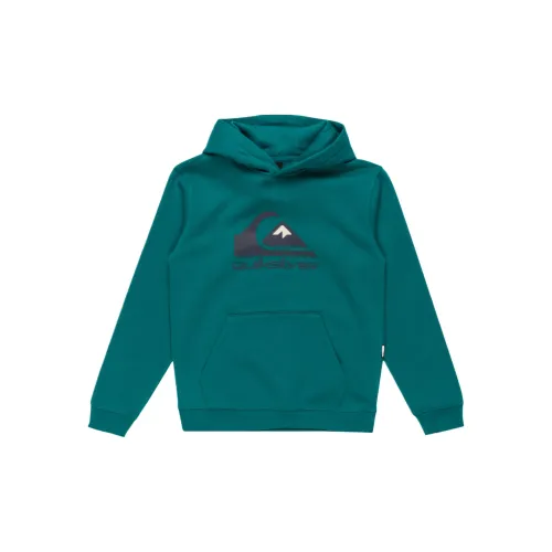 Quiksilver Зеленый Школьный возраст Свитшоты