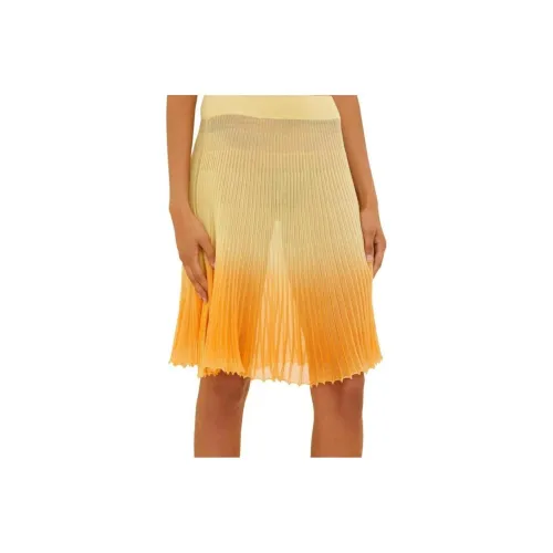 Jacquemus Апельсин Женские Повседневные Длинные Юбки