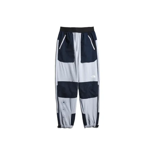 The North Face Светло-серые Женские Спортивные Брюки