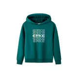 506 Ель зелёный
