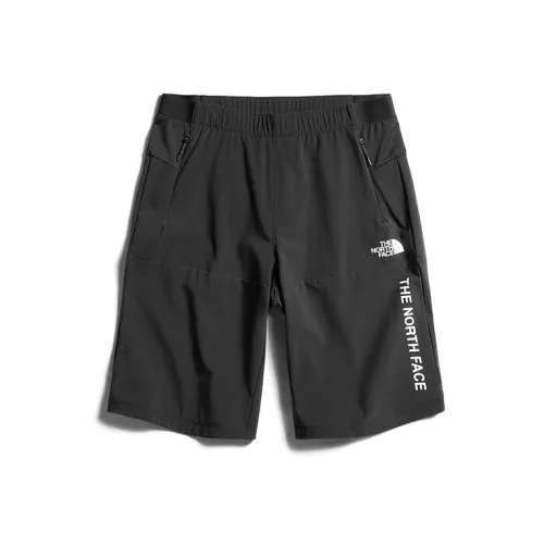 THE NORTH FACE Повседневные шорты Мужские Черные