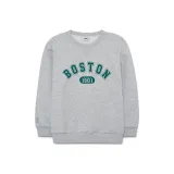 Светло-пшеничный серый