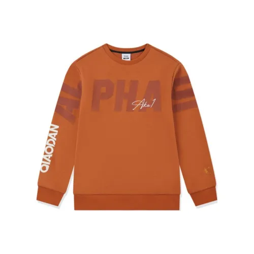 QIAODAN Толстовка Caramel Brown Teenagers