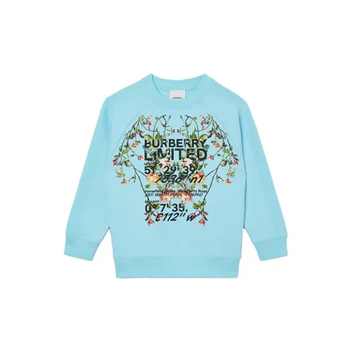 Burberry Синий Kids Свитшоты