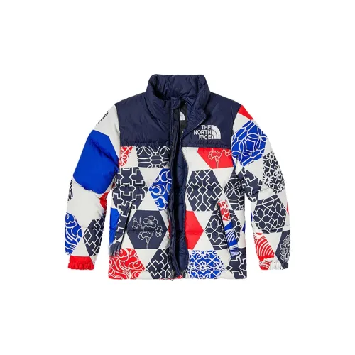 The North Face Пуховик 1996 Collection Многоцветный Детский
