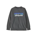 Тёмно-серый/Forge серый