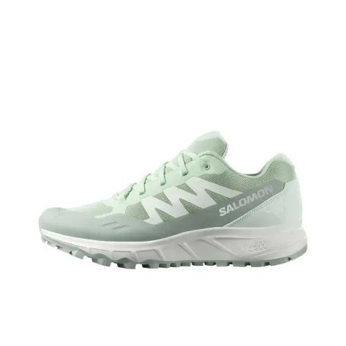 SALOMON Outpath Low Топ Походная обувь Женская Зеленая