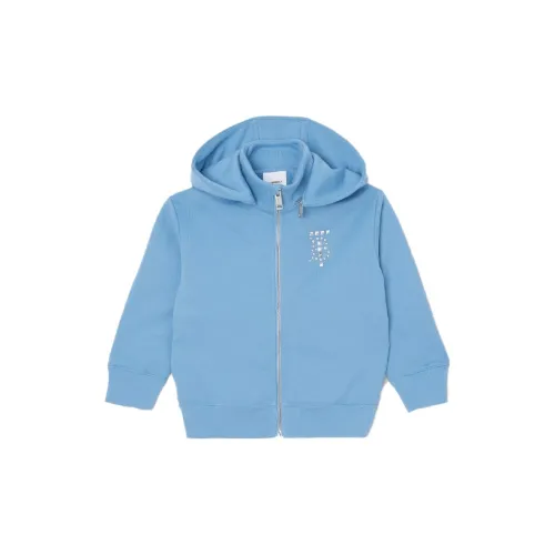 Burberry Синий Kids Свитшоты