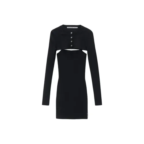 Alexander Wang FW24 Комплект с юбкой Женская Черная