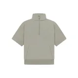 Серый тюлень