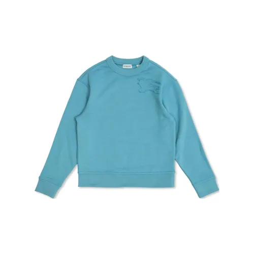 Burberry Синий Kids Свитшоты