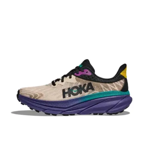 HOKA ONE ONE CHALLENGER 7 Устойчивые к истиранию Низкие Беговые кроссовки Мужские Коричневые