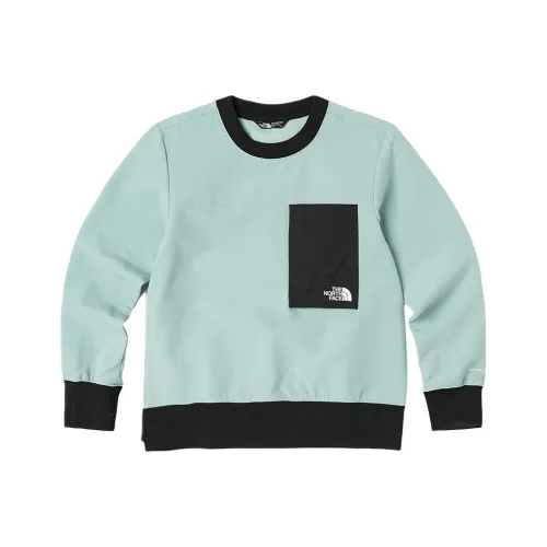 The North Face Свитшот Светло-сосновый Деревянный Подростки