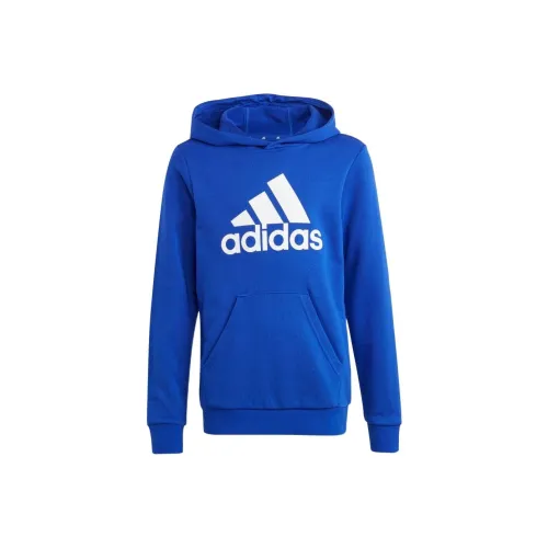 Adidas Синий Kids Свитшоты