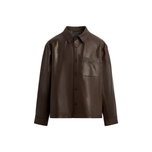 ZARA Коричневый Мужская Кожаная Куртка