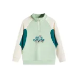 Лента зеленого цвета